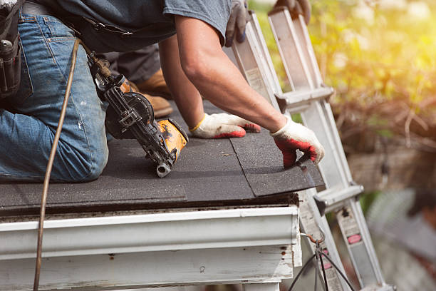 Best Roof Gutter Cleaning  in New Middletown, OH